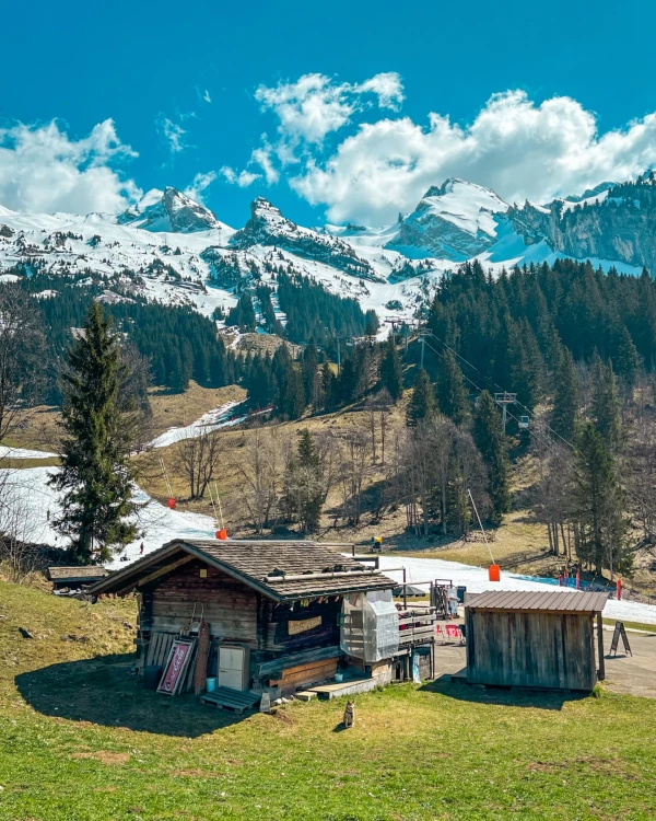 La Cabane d’Heïdi
