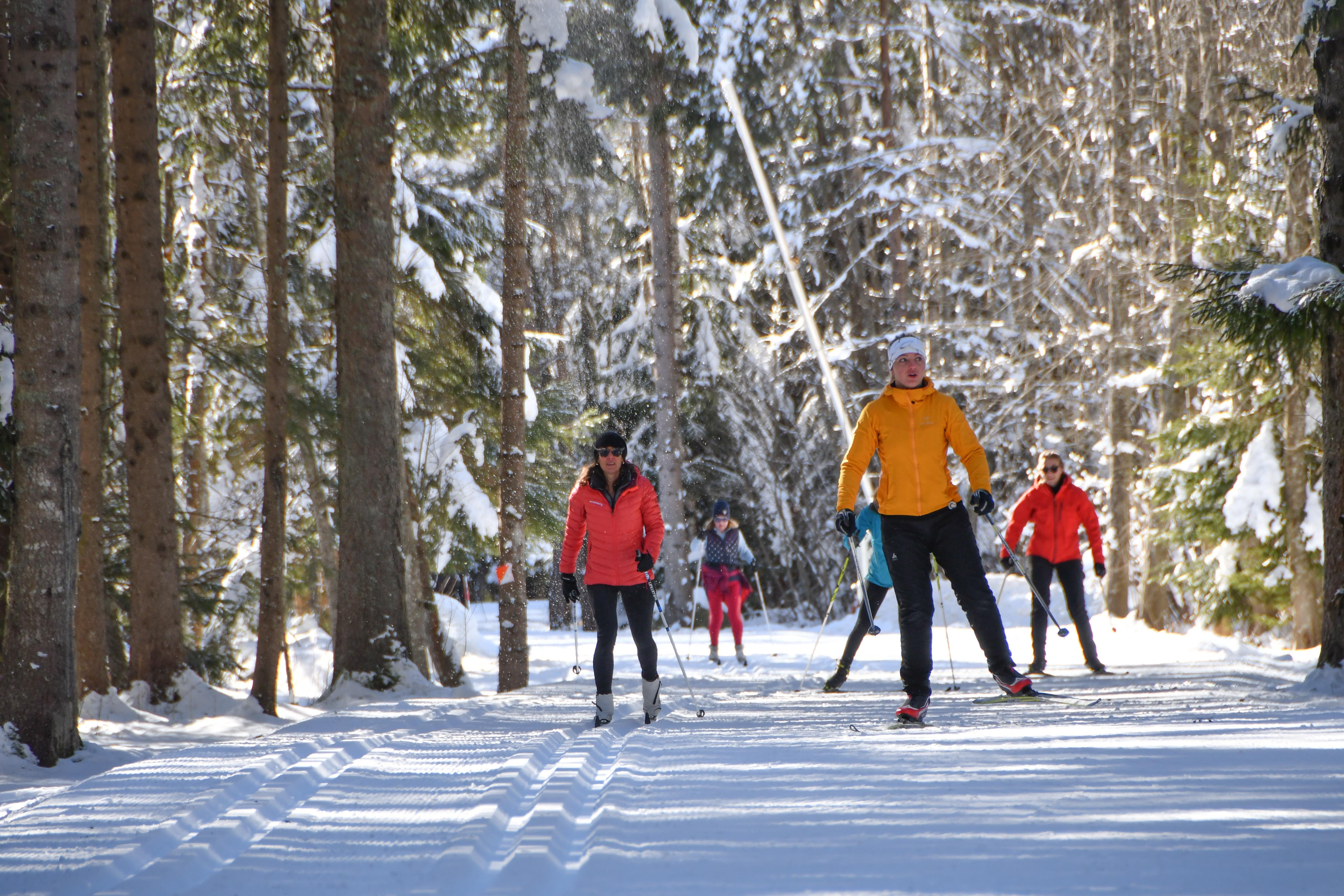 Ski nordique / Ski de fond